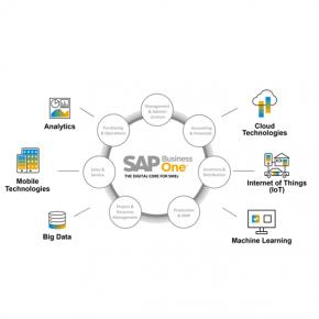 SAP Business One for SMEs